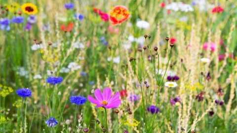 Tax Briefing Spring 2025